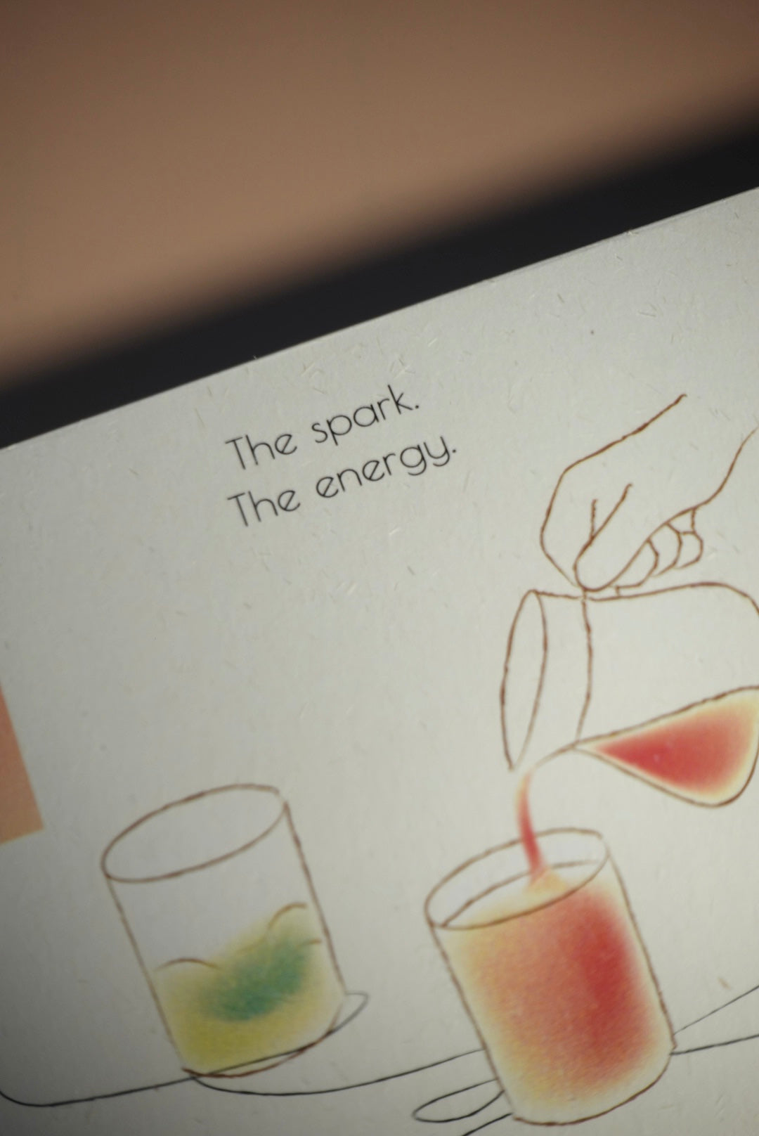 June & July Coffee Curation: the Spark